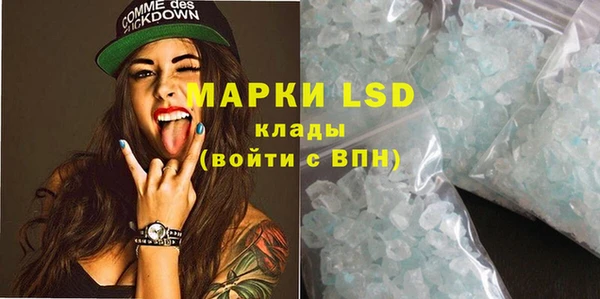 спиды Каменногорск